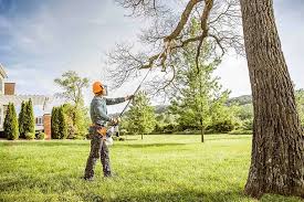 Best Aeration Services  in Algona, WA